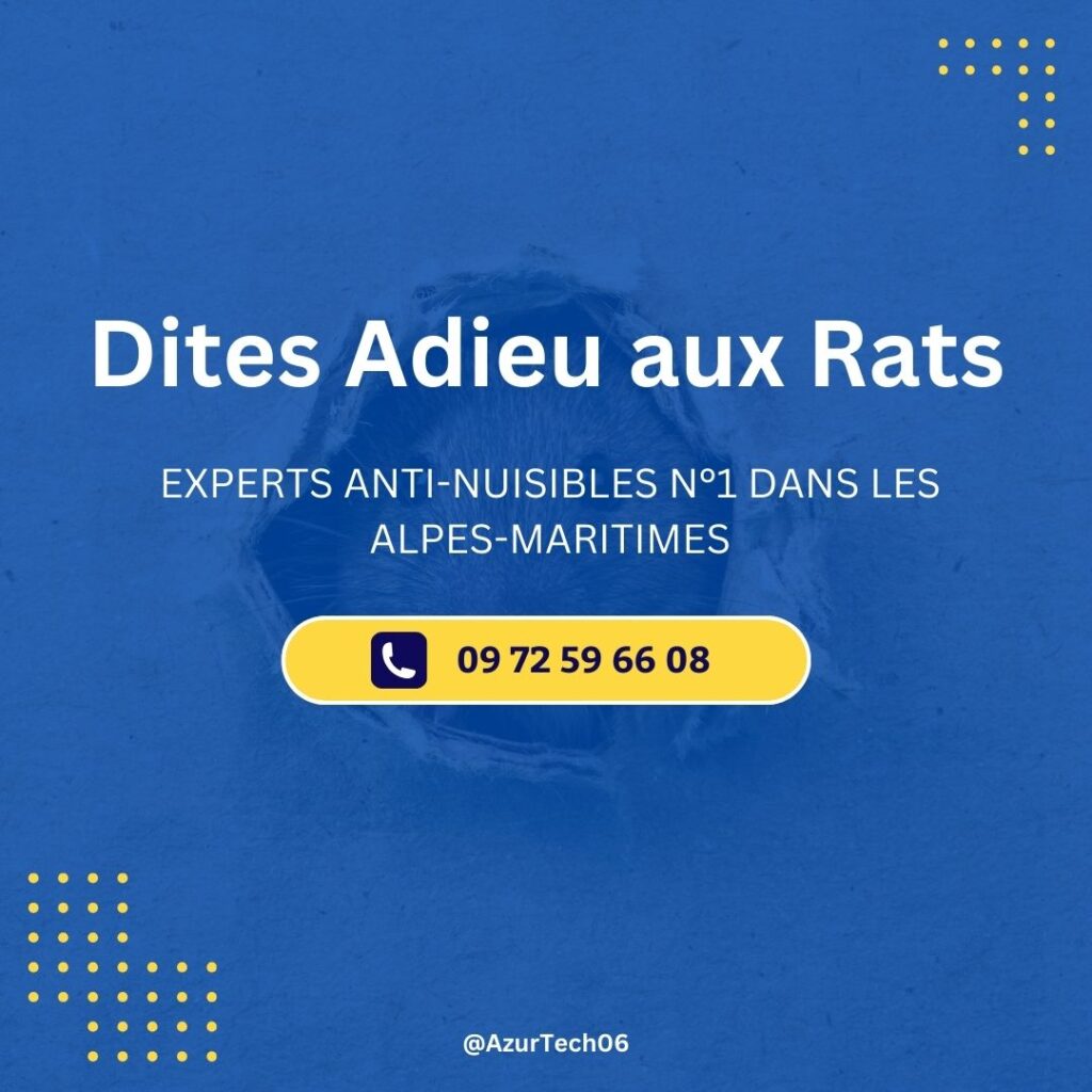 Élimination des Rats à Saint-Laurent-du-Var