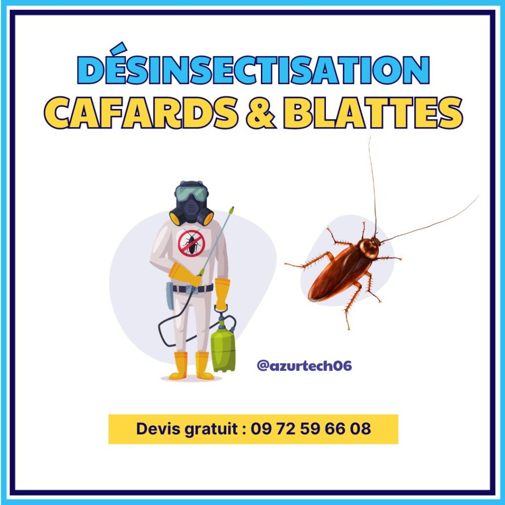 Désinsectisation cafards et blattes Vallauris