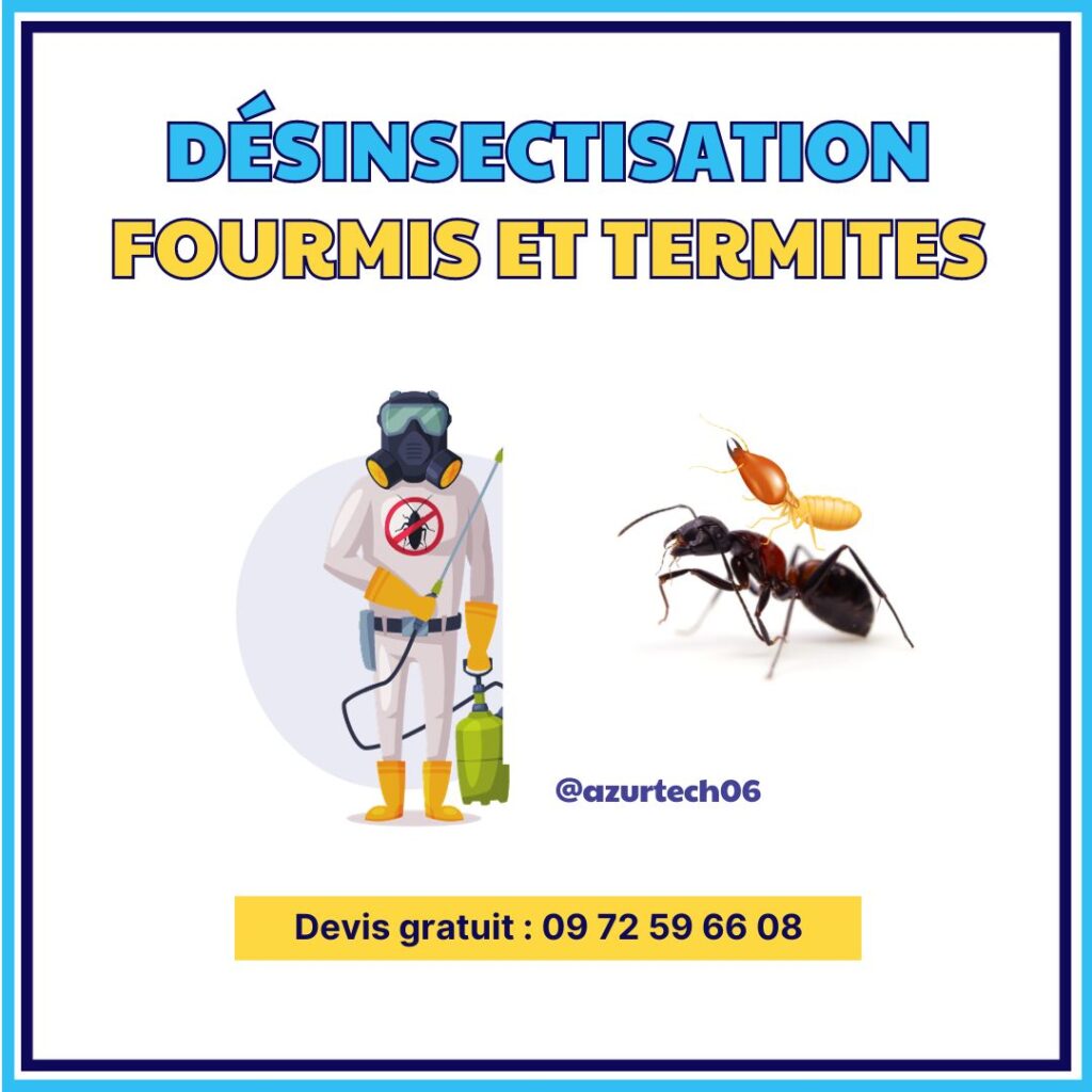 Désinsectisation de fourmis et termites Cagnes-sur-Mer