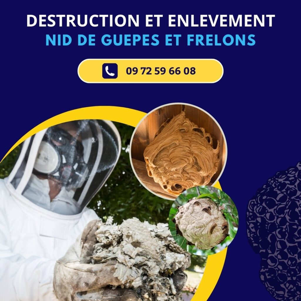 Société extermination guêpes et frelons à Saint-Laurent-du-Var