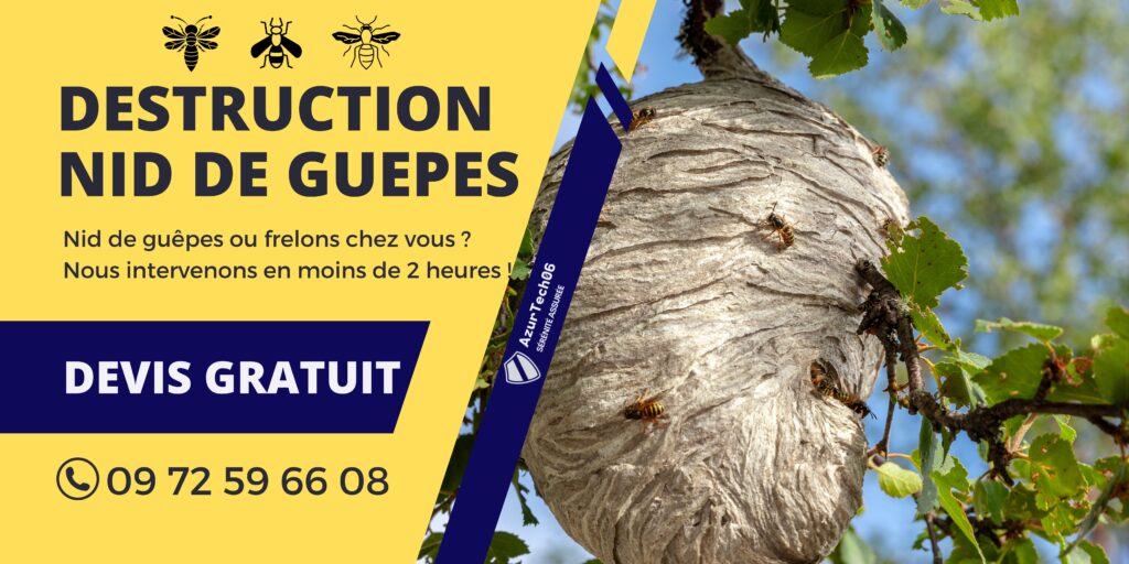 Service de Destruction de Nids de Guêpes et Frelons à La Roquette-sur-Siagne par des Professionnels